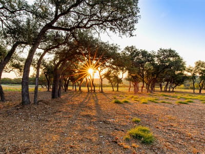 Primary bedroom at 20091 Westlake Pkwy Unit #Lot #1 - LOST RIVER RANCHES, Georgetown, TX