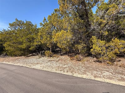 Property photo 2 at 20206 Lee LN - Highland Lake Estates Sec 02, Lago Vista, TX