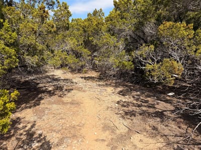 Property photo 3 at 20206 Lee LN - Highland Lake Estates Sec 02, Lago Vista, TX