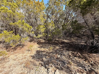 Property photo 4 at 20206 Lee LN - Highland Lake Estates Sec 02, Lago Vista, TX