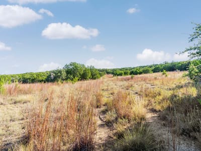 Property photo 3 at 2021 Stagecoach Ranch Rd - A0129 - Phillip H Commans Surv, Dripping Springs, TX