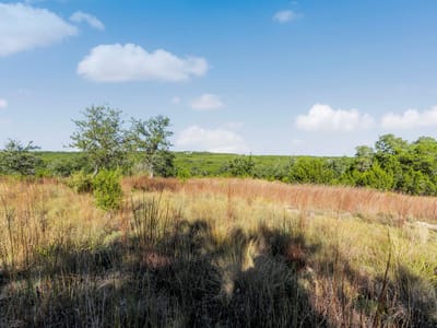 Property photo 4 at 2021 Stagecoach Ranch Rd - A0129 - Phillip H Commans Surv, Dripping Springs, TX