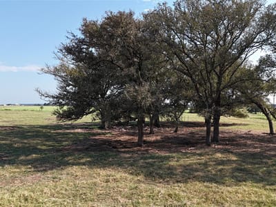 Kitchen at 2039 County Road 326 - Lincoln Ridge Sub, Giddings, TX