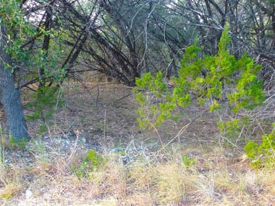 Property photo 4 at 20402 Sunset Strip ST - Lago Vista Sec 02, Lago Vista, TX