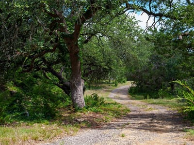 Kitchen at 2041 Lone Man Mountain RD - E Bohls, Wimberley, TX