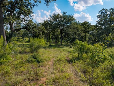 Kitchen at 206 Sayers RD - austin,stephen F, Bastrop, TX