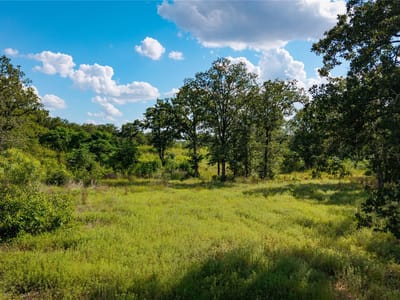 Primary bedroom at 206 Sayers RD - austin,stephen F, Bastrop, TX