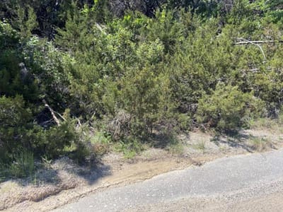 Property photo 5 at 20601 Oxbow TRL - Bar-K Ranches 14, Lago Vista, TX