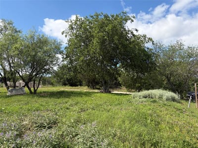 Living area at 207 Cresthill CSWY - Green Pastures Sec 2, Kyle, TX