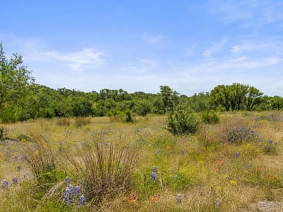 Primary bedroom at 207 Verbena RD - The Preserve at Walnut Springs, Johnson City, TX