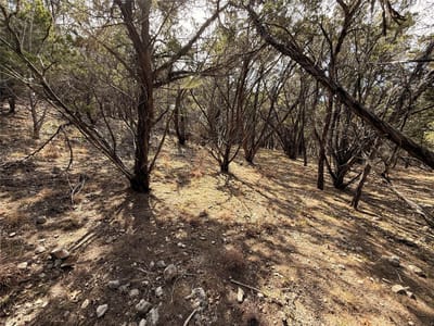 Property photo 3 at 20705 Post Oak DR - Lago Vista Estates Sec 04, Lago Vista, TX