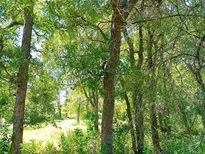 Property photo 3 at 208 Serenity DR - Serenity Springs, Liberty Hill, TX