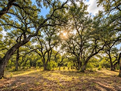 Photo 2 of 23 at 208 Viento CV - Blanco, Blanco, TX