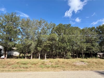 Property photo 2 at 208 Waipahoehoe DR - Tahitian Village, Bastrop, TX