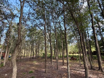 Property photo 4 at 208 Waipahoehoe DR - Tahitian Village, Bastrop, TX
