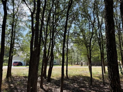 Property photo 5 at 208 Waipahoehoe DR - Tahitian Village, Bastrop, TX