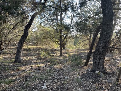 Property photo 3 at 20805 Hawthorne CV - Highland Lake Estates Sec 12 A, Lago Vista, TX