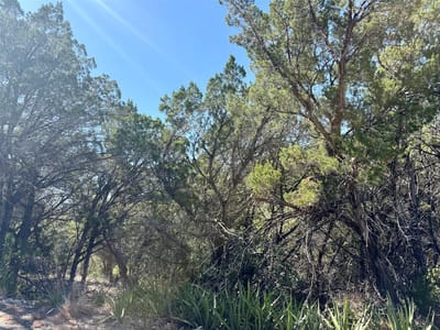 Property photo 4 at 20823 Roundup TRL - Lago Vista Sec 03 Ph 04, Lago Vista, TX