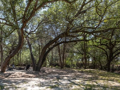 Primary bedroom at 2088 (Tract #3) Baca LOOP Unit #3 - Muldoon League 14, Flatonia, TX