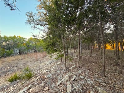 Primary bedroom at 209 Legacy Rdg - Rocky Creek Ranch 3, Canyon Lake, TX