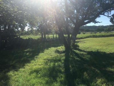 Property photo 3 at 209 Sierra Vista DR - Hines Ranches, Gatesville, TX