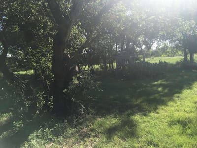 Property photo 4 at 209 Sierra Vista DR - Hines Ranches, Gatesville, TX