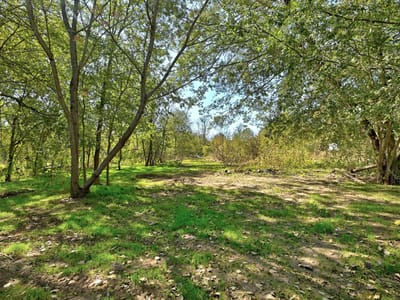Primary bedroom at 2100 Whirlaway Dr - River Timber, Del Valle, TX