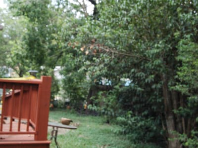 Property photo 4 at 2102 Blue Meadow DR - 2 bed 2 bath home