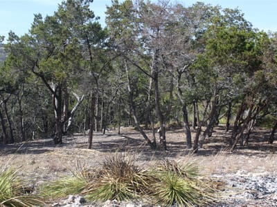 Primary bedroom at 2102 Montell Rd - Hill Country Ranches, Wimberley, TX