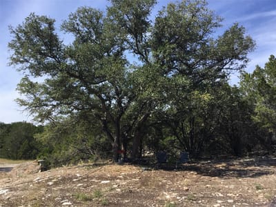 Living area at 21100 Ringtail CV - Bar-K Ranches Sec 15-A, Lago Vista, TX