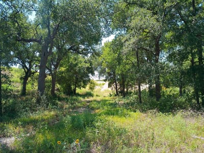 Property photo 3 at 212 Serenity DR - SERENITY SPRINGS, Liberty Hill, TX