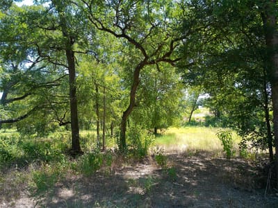 Property photo 4 at 212 Serenity DR - SERENITY SPRINGS, Liberty Hill, TX