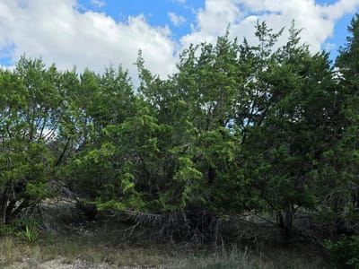 Photo 2 of 13 at 21301 Santa Marta CV - Leander, Leander, TX