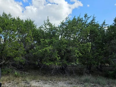 Photo 3 of 13 at 21301 Santa Marta CV - Leander, Leander, TX