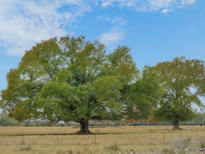 Living area at 2150 Cr 412 - A211, Lexington, TX