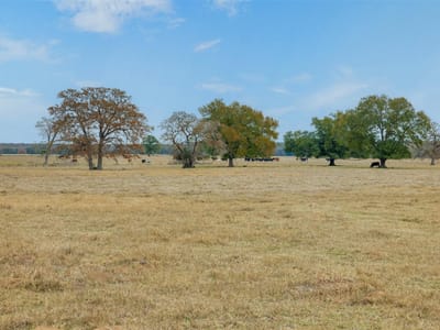 Bathroom at 2150 Cr 412 - A211, Lexington, TX