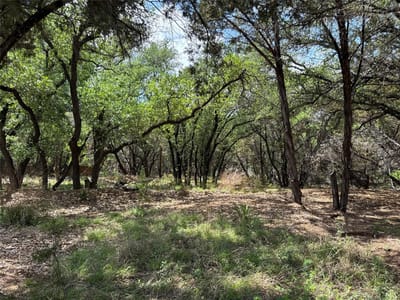 Property photo 4 at 21501 Paseo De Vaca ST - Bar-K Ranches 02, Leander, TX