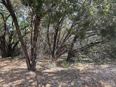 Property photo 5 at 21501 Paseo De Vaca ST - Bar-K Ranches 02, Leander, TX