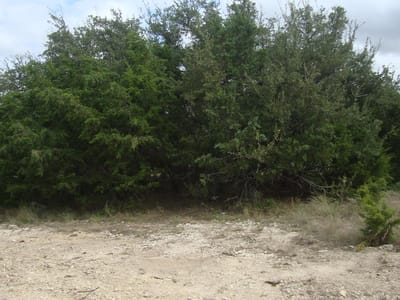 Photo 5 of 5 at 21519 Patton Ave - Lago Vista, Lago Vista, TX