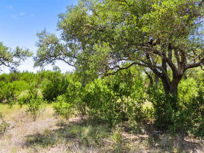 Property photo 5 at 2153 San Jose Way - Canyon Lake, Canyon Lake, TX