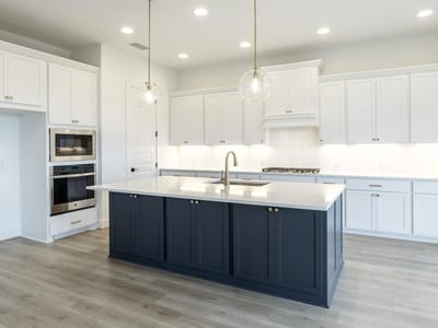 Primary bedroom at 216 Snakeroot TRL - 4 bed 4 bath home