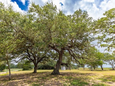 Property photo 3 at 2160 (Tract #5) Baca LOOP Unit #5 - Muldoon League 14, Flatonia, TX