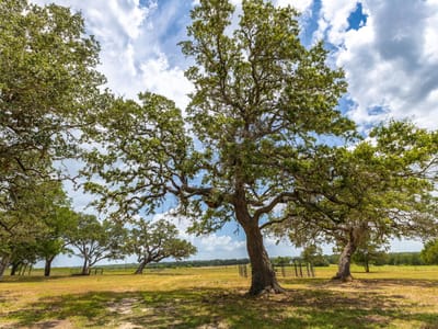 Property photo 4 at 2160 (Tract #5) Baca LOOP Unit #5 - Muldoon League 14, Flatonia, TX