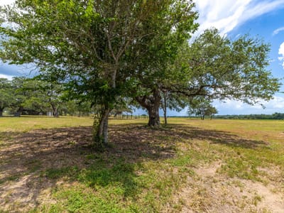 Property photo 5 at 2160 (Tract #5) Baca LOOP Unit #5 - Muldoon League 14, Flatonia, TX