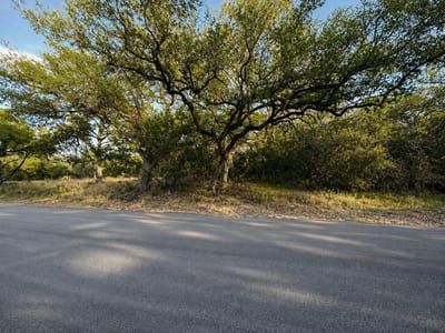 Property photo 5 at 21719 Heather DR - Emerald Bend Sec 01, Lago Vista, TX