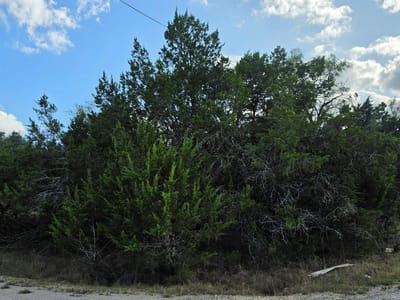 Photo 3 of 13 at 21811 O Neill Ave - Leander, Leander, TX