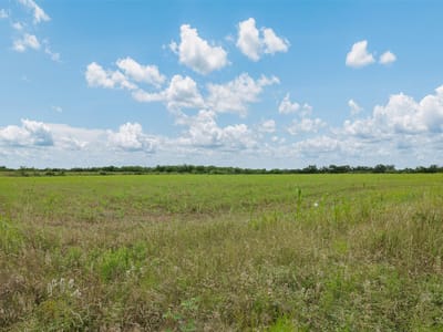 Property photo 5 at 21814 Hogeye RD - Alexander, Manor, TX