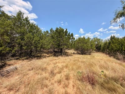 Property photo 3 at 21900 Patton CV - Highland Lake Estates Sec 29, Lago Vista, TX