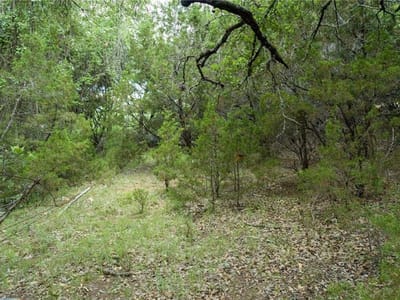 Primary bedroom at 2200 Ranch Road 620 S - Lake Travis Transitional Medic, Lakeway, TX