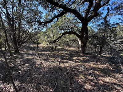 Primary bedroom at 221 Ranch House Rd - Spring Hollow, Wimberley, TX